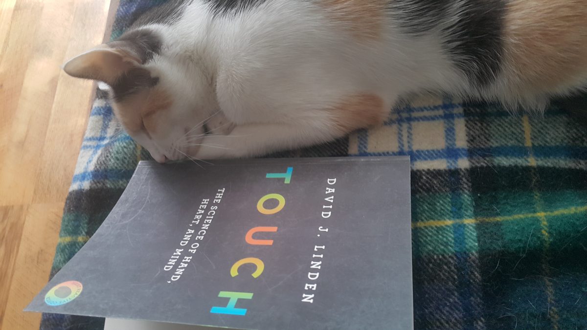 Reading – Touch by David Linden
